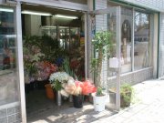 「大堀生花店」　（北海道札幌市中央区）の花屋店舗写真2
